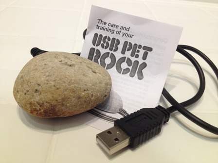USB PetRock